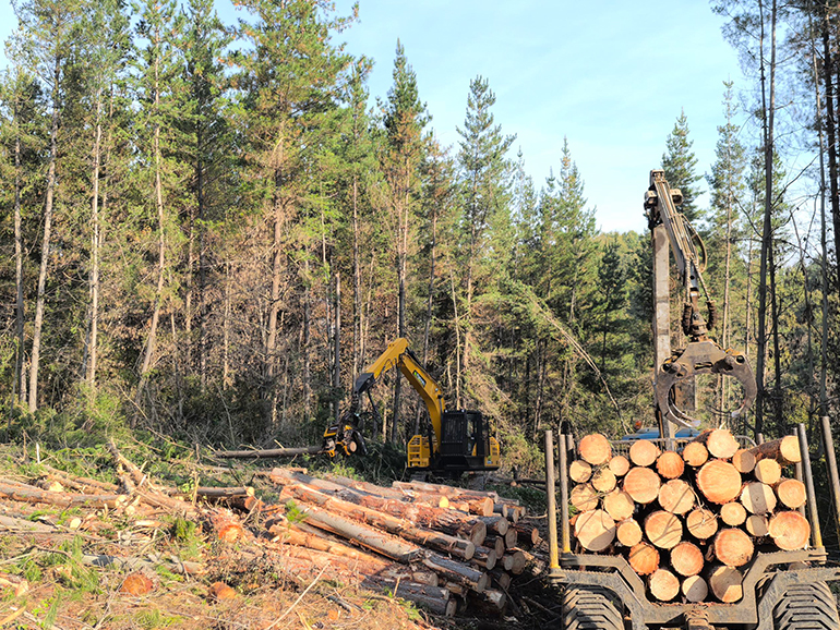 YCF215 Forestry Excavator Gains Positive Feedback in South America