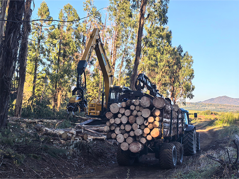 YCF215 Forestry Excavator Gains Positive Feedback in South America