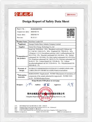 S35 Rapporto di progettazione della scheda di dati di sicurezza S35 Rapporto di progettazione della scheda di dati di sicurezza